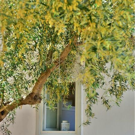 Ferienwohnung Douskos Beach House Hydra  Exterior foto
