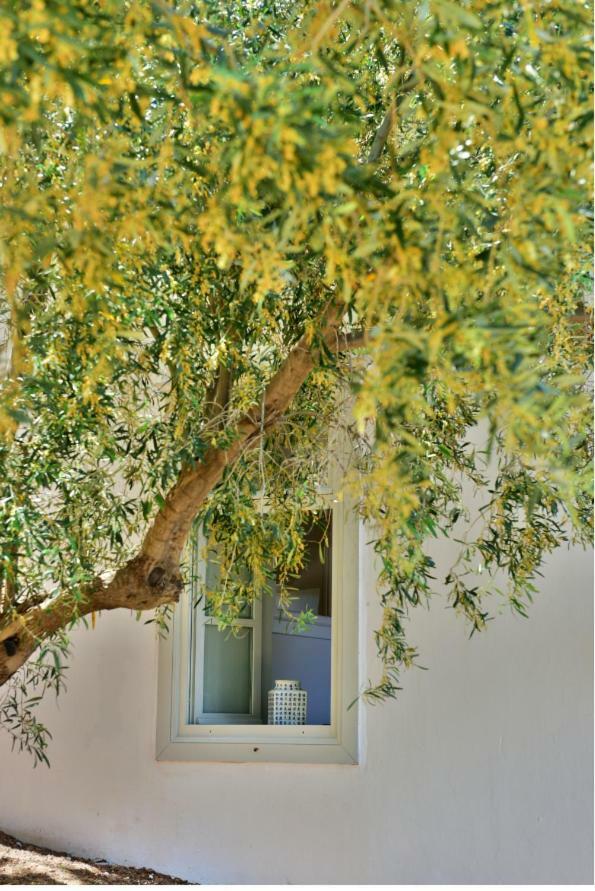 Ferienwohnung Douskos Beach House Hydra  Exterior foto